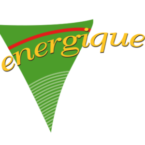 Energique Pup 750 gram