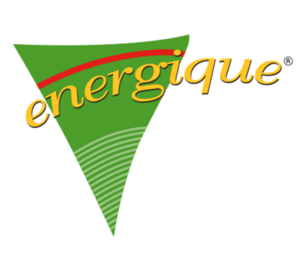 Energique Pup 750 gram