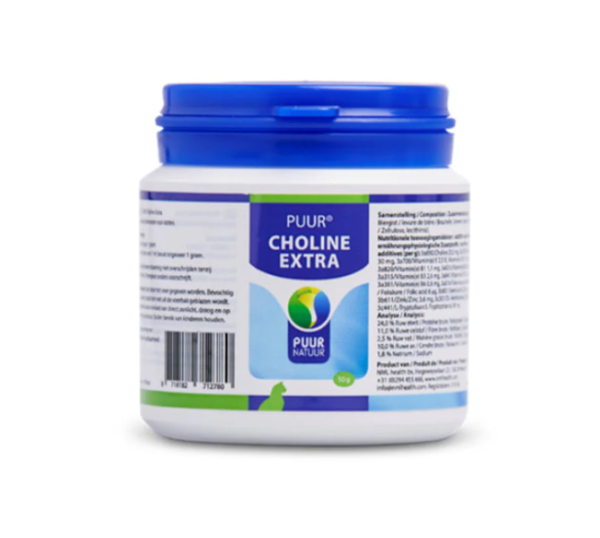 Puur choline 50 gram